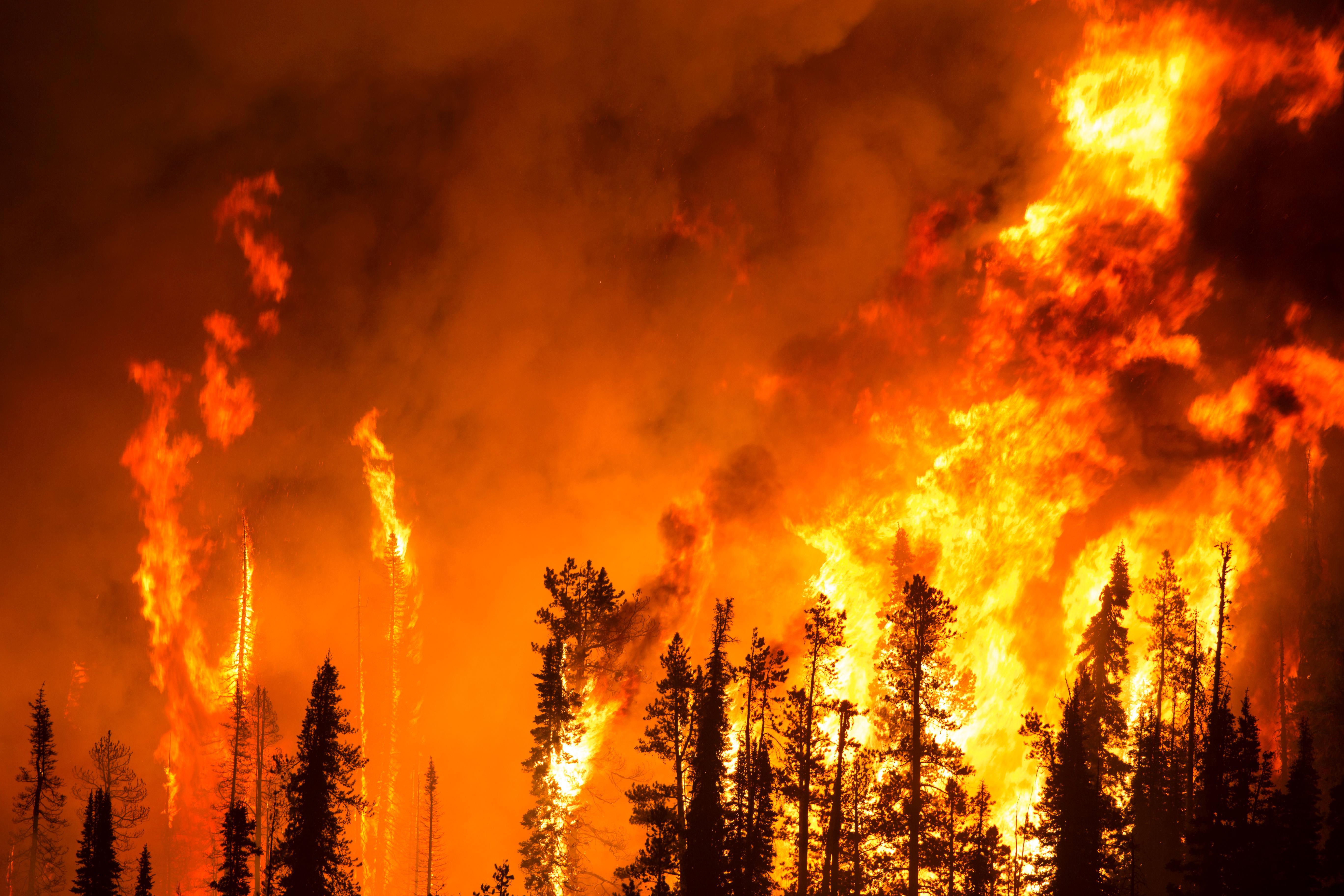 The Pioneer Fire located in the Boise National Forest Wildfire